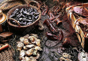 鮑魚圖片高清圖片免費下載 jpg格式 編號15251670 千圖網(wǎng)