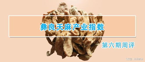 彝良天麻產業指數第六期周評