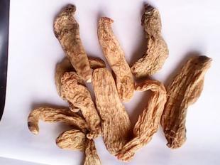 優質天麻 原生態天然綠色環保的農副產品典范