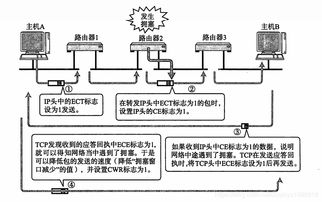 計算機網絡中的IP相關技術與開發實踐