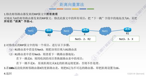 王道考研計(jì)算機(jī)網(wǎng)絡(luò)第四章知識(shí)點(diǎn)匯總 網(wǎng)絡(luò)層與核心技術(shù)開發(fā)